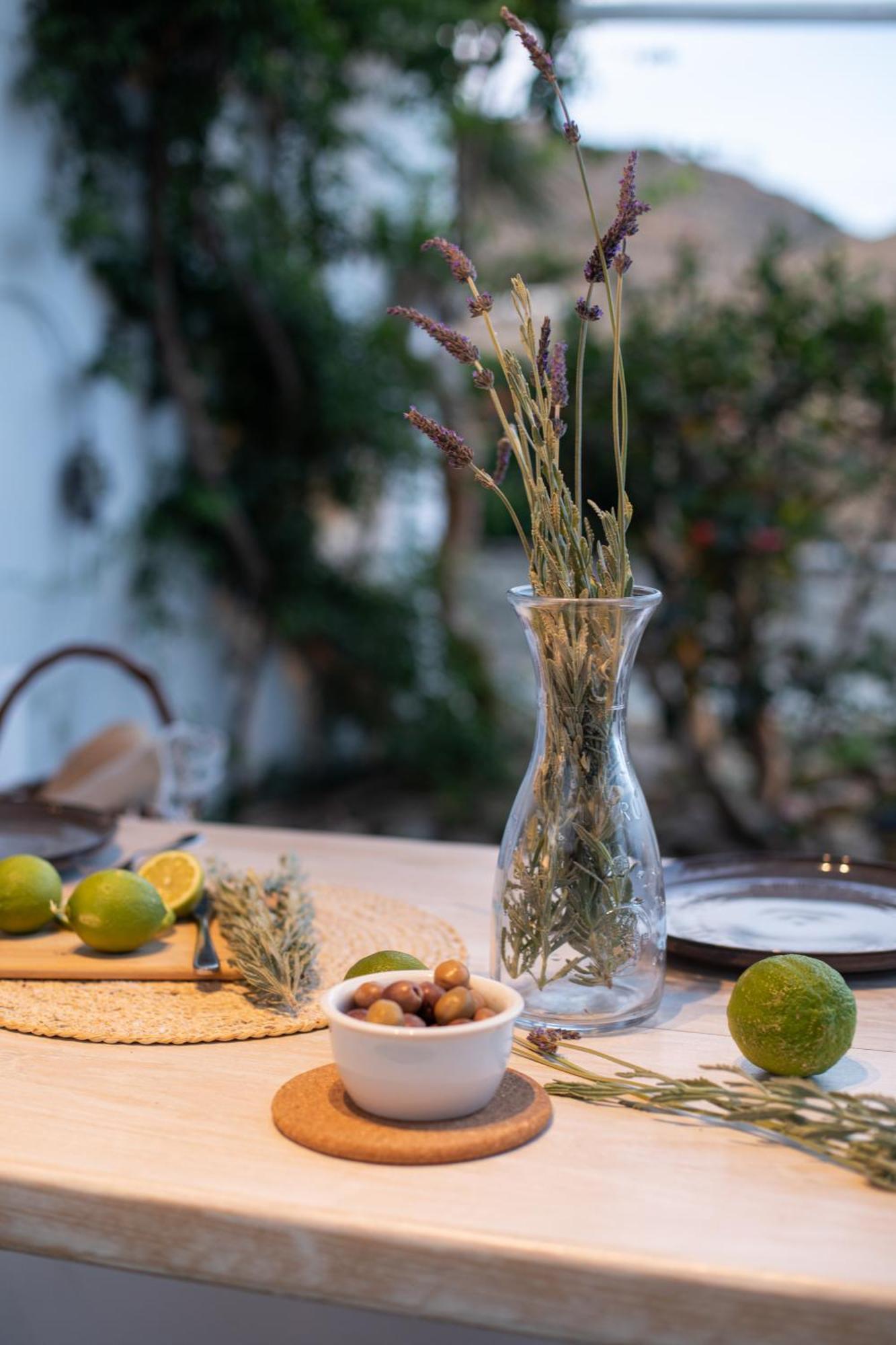 Levantes House Mykonos 阿诺梅拉 外观 照片
